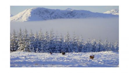Stunning winter scenery