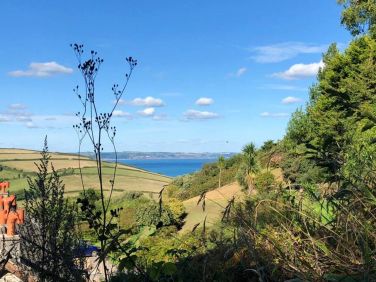 View from road