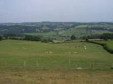 Country side in Devon