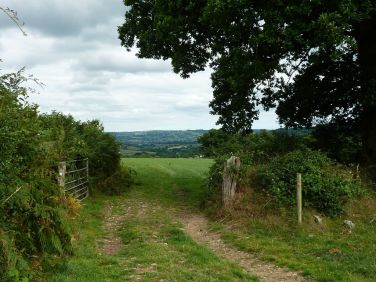 Foot path on Hawley farm