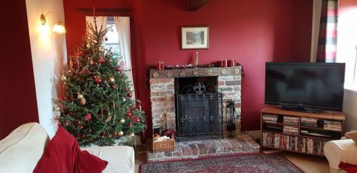 Real Christmas Tree at Crow Pie Cottage