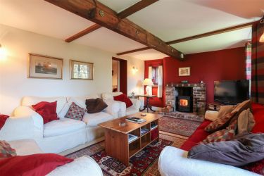 Living area with log burning stove
