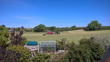 Back field,  haylage time