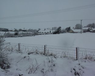 Wintry view from upstairs window
