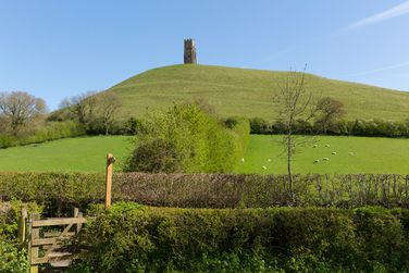 Cider Barrel Cottage