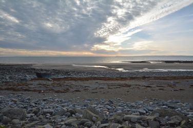Endless interest for children, on the beach and in the rock pools