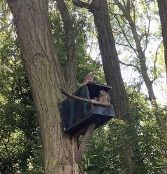 About to leave home!