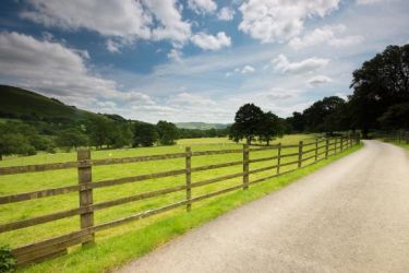 View from the drive