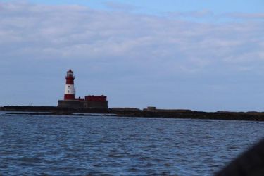 The Farne Islands