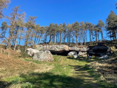 St Cuthberts Cave near Belford.  A super walk, as long or as short as you want.