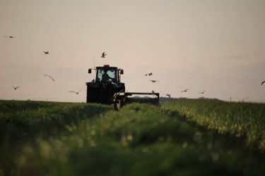 Silage making