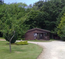 Sycamore Lodge
