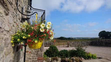 View from the garden