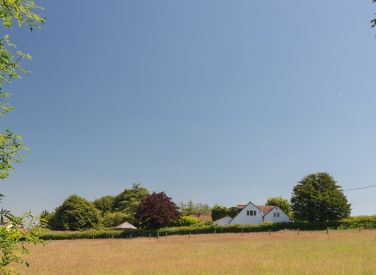The White Cottage