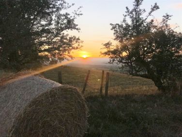 Herefordshire Summer Views