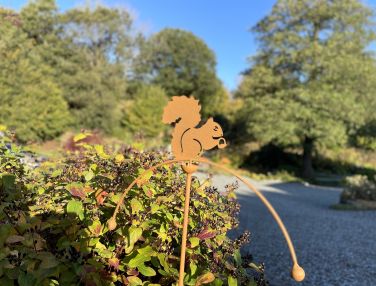A corner of the garden at Howe Foot, with pictures of the area to follow