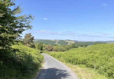 June at Lowick Common, just up the road from Howe Foot