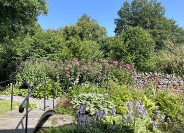 Midsummer in the garden at Howe Foot