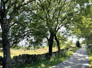 A quiet lane close to Howe Foot