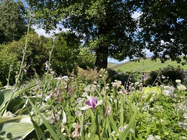 Summer colour at Howe Foot