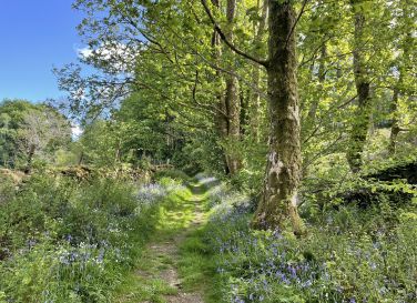 A spring walk at Haverthwaite Heights, near Newby Bridge