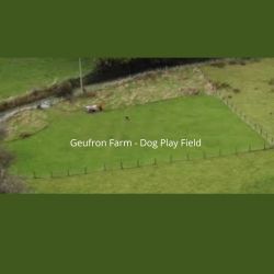 Dedicated dog play field. Wire stock fencing. Approx min fence height 1 metre.