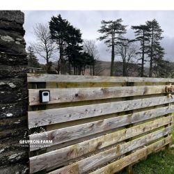 Fenced Garden - part stock fencing & part wooden boards. Approx Min height 1 metre.