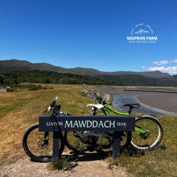 Flat cycling & walking trails along the Mawddach Estuary.