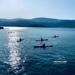 Watersport's and adventures in Cardigan Bay