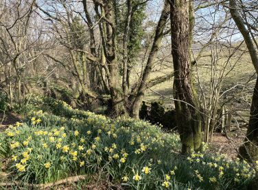 Welcome to Howe Foot and welcome to spring