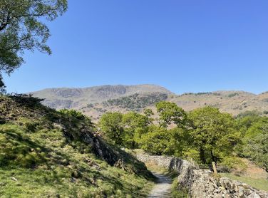 Countryside near Holme Fell, north of Coniston village