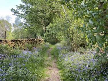 Haverthwaite Heights, near Lakeside