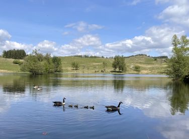Moss Eccles Tarn, near Hawkshead. A favourite of Beatrix Potter