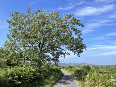 On the way to Lowick Beacon, a few minutes from Howe Foot