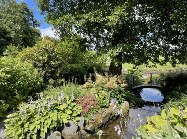 Garden full of summer colour