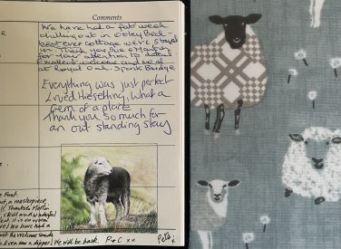 Lovely picture of a Herdwick sheep by a happy guest