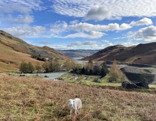 Autumn walk at Coniston Coppermines
