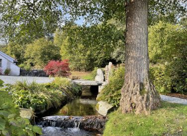 October in the garden at Howe Foot