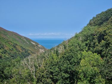 View down the Heddon Valley from Cottages