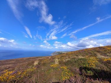 Where Exmoor meets the sea