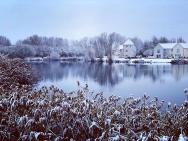 Magical in the snow