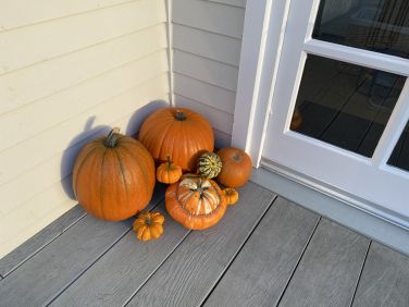 Hallowe'en decorations
