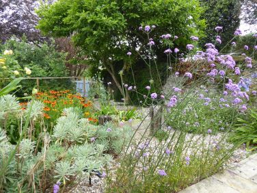 Sea Breeze Garden.