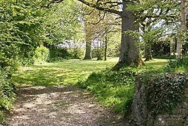 Wooded area opposite cottage