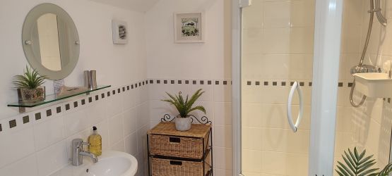 Ensuite bedroom shower room