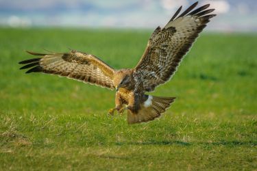 The perfect spot for a bird watching break with migratory birds and birds of prey in every direction