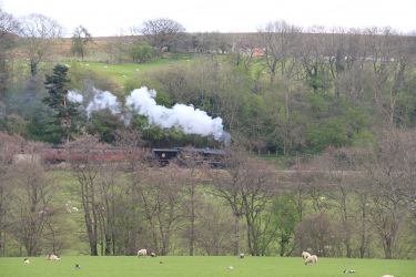 Steam Trains on the North Yorkshire Moors Railway