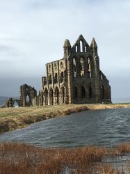 Whitby  Abbey, around 30 minutes drive from Low Costa Mill