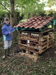 Giant bug hotel within our woodland