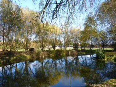 Low Costa Mill ponds